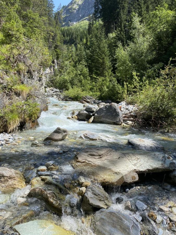 Entre Neige Et Thermes Brides-les-Bains Buitenkant foto